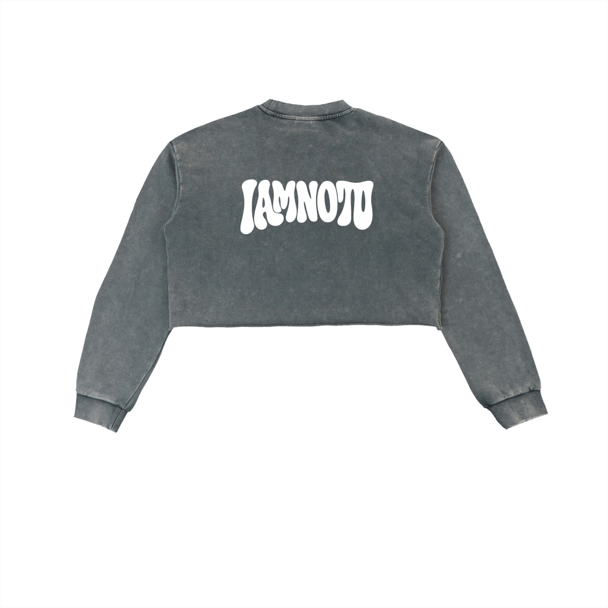 IAMNOTU "ODD STANDARD" Snow Washed Cropped Sweatshirt